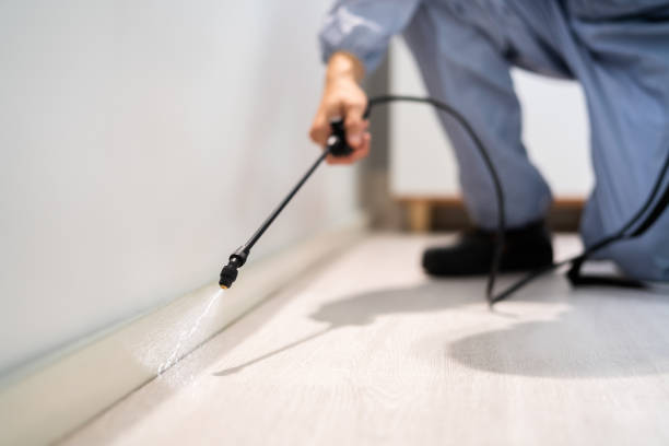 Licensed Pest Control service in Mount Vernon, OH - Show Me Pest Control