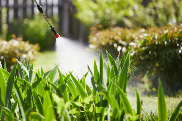 24/7 Emergency Mosquito Control experts in Mount Vernon, OH