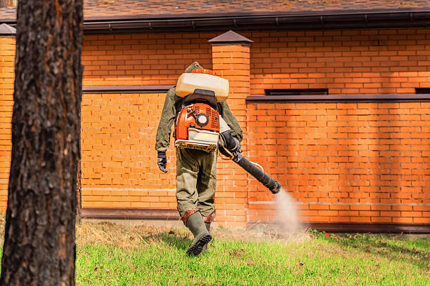 Top rated local Mosquito Control specialists in Mount Vernon, OH